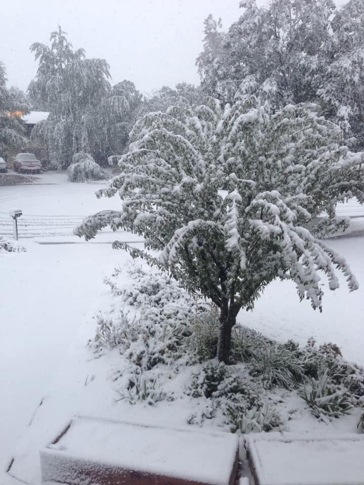 Snow, 10/14